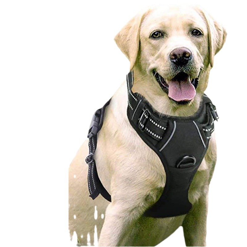 厂家直供亚马逊新款宠物胸背带中大型犬狗狗背心式牵引绳狗链子