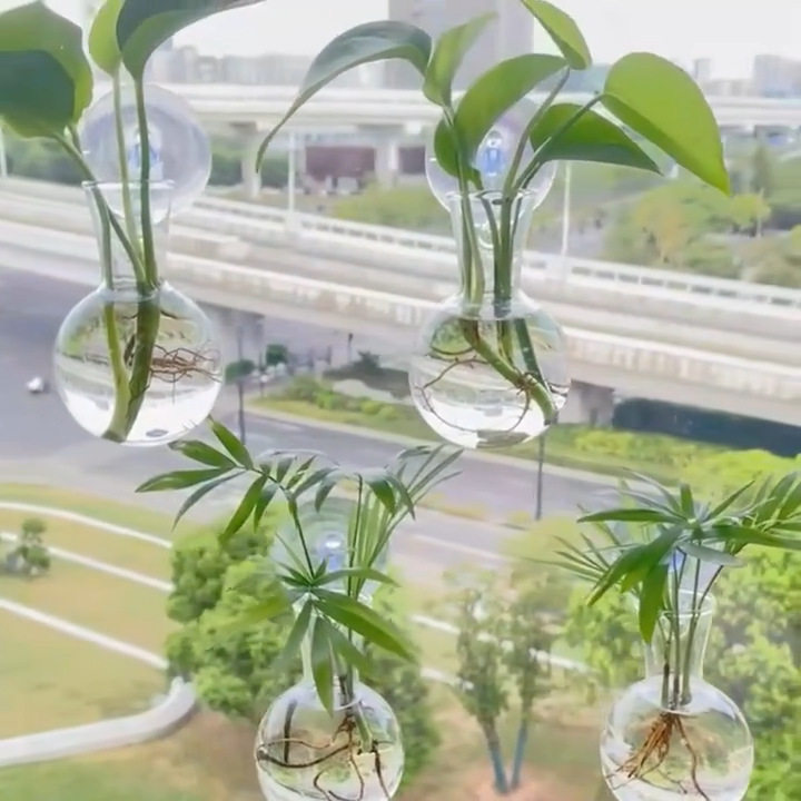 国境を越えた水培緑羅植物瓶プラスチック吊り下げ家庭園芸装飾アクリル壁掛け透明花瓶|undefined