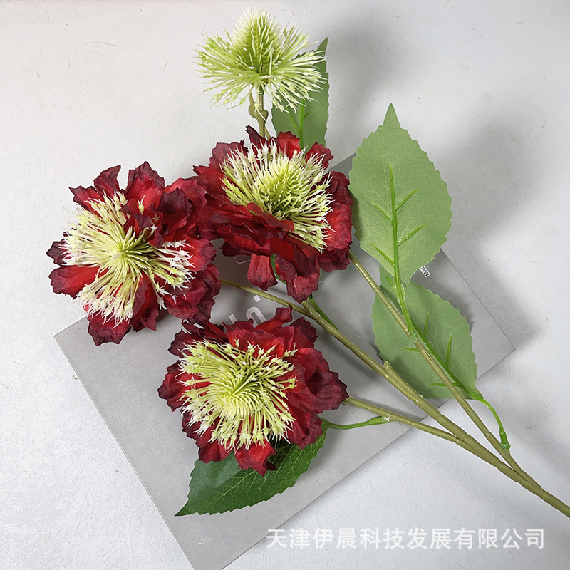 4등신 국화-빨간색