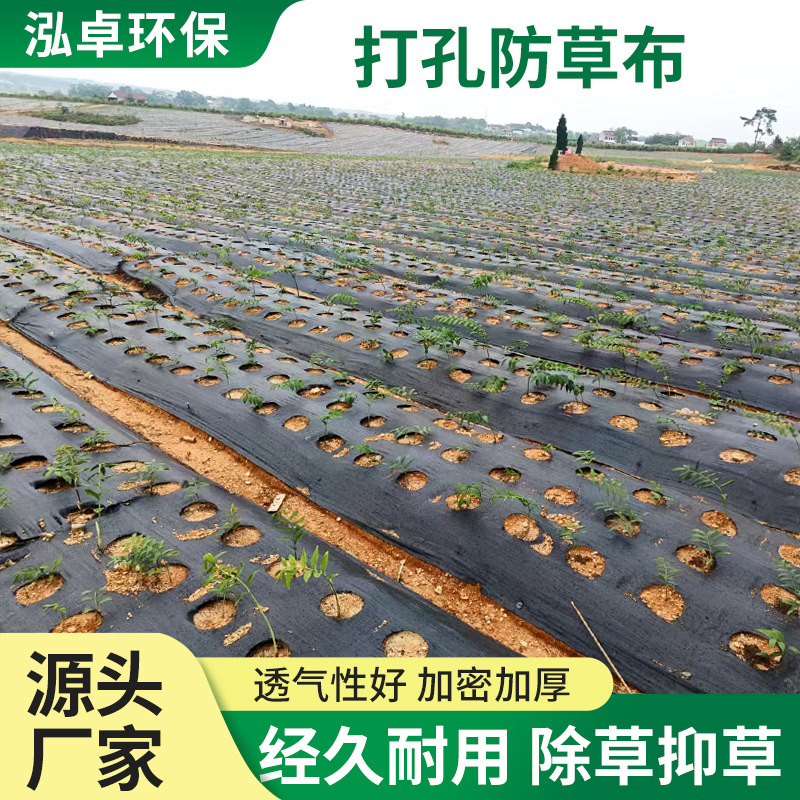 防草布切片果园果树除草布农用园艺地布透气透水抑草布打孔防草布