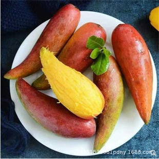 С����â����̨�r�F����ͼ޽�â���������Ե����׷N���Y����