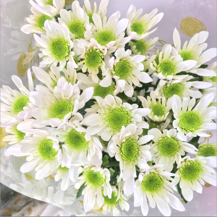 鲜花花束云南昆明基地直发香水百合花速递同城玫瑰520情人节礼物|undefined