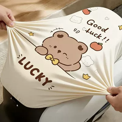 Seat Cover, New Electric Vehicle — Electric car cushion