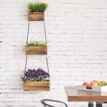 �Ғ�����ľ�|�Gֲ�܏N������ľ���߲��ռ{�@�͏d�Fľ���������