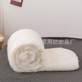蚕丝被;被套;蚕丝光胎