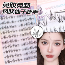 �L�������������Ӽٽ�ë������Ȼ�����δطֶμ޽���y�Ͻ�ë