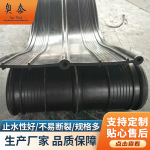橡胶止水带 隧道专用桥梁建筑工程水利工程中埋式止水带
