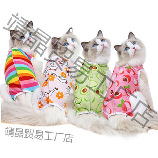 Dog Small Medium Dog Cat Sterization Clothing Post-operative Fruit Series Four Seasons Pet Clothes Supplies Clothing