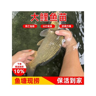 �ش����~���S�Ӵ����~�S�����~���︣�����~���r�ˮ�Bֳ��ʳ��