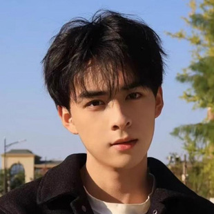 Men's Short Hair Wig Stylish Influencer Personality Fringe Micro Bangs Age-Reducing Natural Short Straight Full Wig