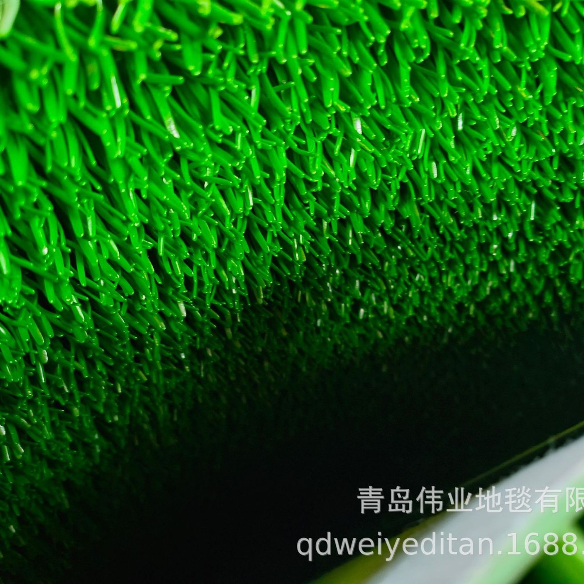 2025-04-07 10:42:06.jpg