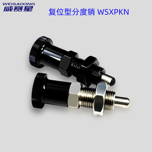 304���P��ԏ�λ��ֹ�Ӷ�λ����λ�ֶ��N�����N���o�������NSXPKN