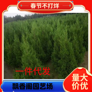 һ�����l�ɶ����ؘ���Ȱؘ���ؘ�����K���ɘ����ɘ���u��Ĺ��