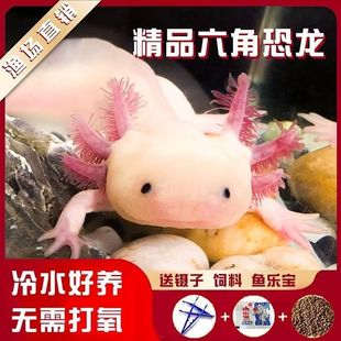 ���ǿ����^�p�~ϔ���ˮ��ˮ��ˮ�~���~�W�t�����ԁ�ˮ���B�ͻ�