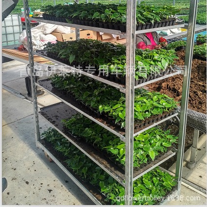 厂家直销花卉周转台车，花车1350标准展示车， 花卉运输周转车