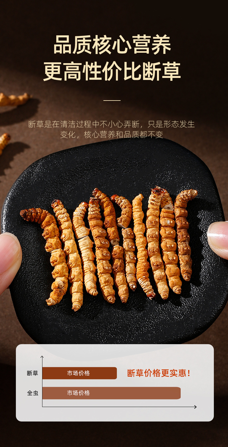 Premium Cordyceps Broken Stems 50g Bottle Dong Chong Xia Cao Qinghai Origin Culinary Herb key features