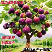 �o�����N�� �ļ�ͥԺ���N �۹� �̝{�� ���ɹ��������N���Ѵ���