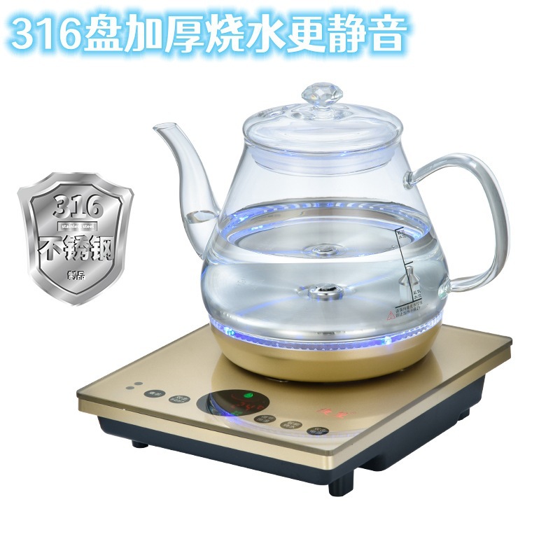 골드 316 플레이트 걸쭉한 주전자(생수형)