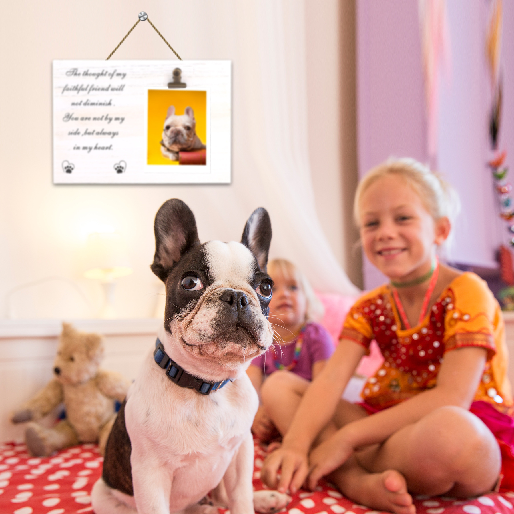 Transfronterizo de madera mascota gato perro Paulownia madera angustiada marco de fotos conmemorativo perro gato de madera marco de fotos conmemorativo