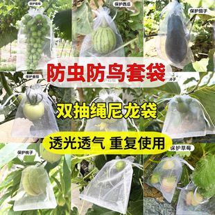 ���lˮ���״�͸��͸���ݮ���џo�������÷��x�W������͸���W����