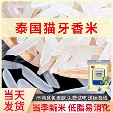 泰香米长粒香大米2024年新米猫牙米礼品小包装丝苗籼米