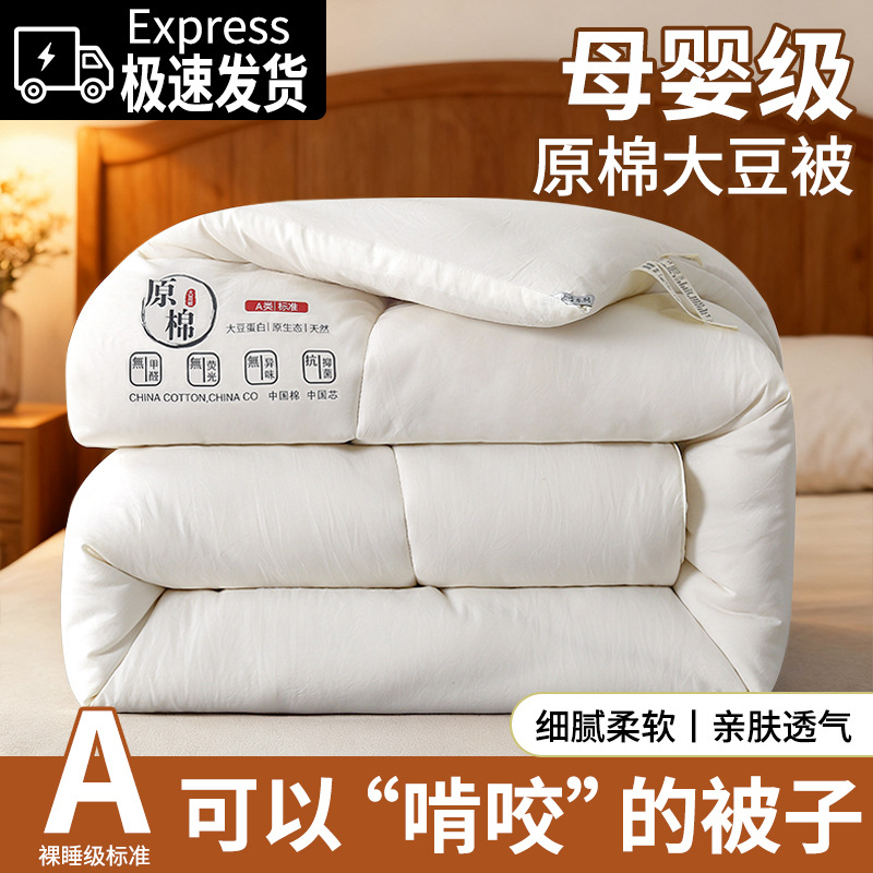 Raw Cotton Soy Fiber Quilt, Class a Soybean Quilt, Winter Quilt, Quilt Core, Spring and Autumn Quilt, Winter Bedding, Summer Cool Quilt