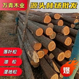 原木