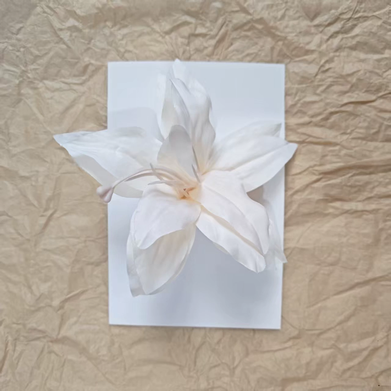 Hairgrip floral clips, princess French-style phalaenopsis & plumeria, multi-size duckbill & pins