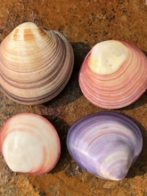 ��Ȼ����ؐ���۸���Ҹ��ؐ�����~��ˮ���쾰�ҾӔ[���Ĕz���ߴ�