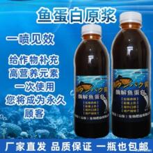 日本鱼肥高浓度浓缩鱼蛋白原浆冲施肥生根膨果壮苗调节土壤叶面肥