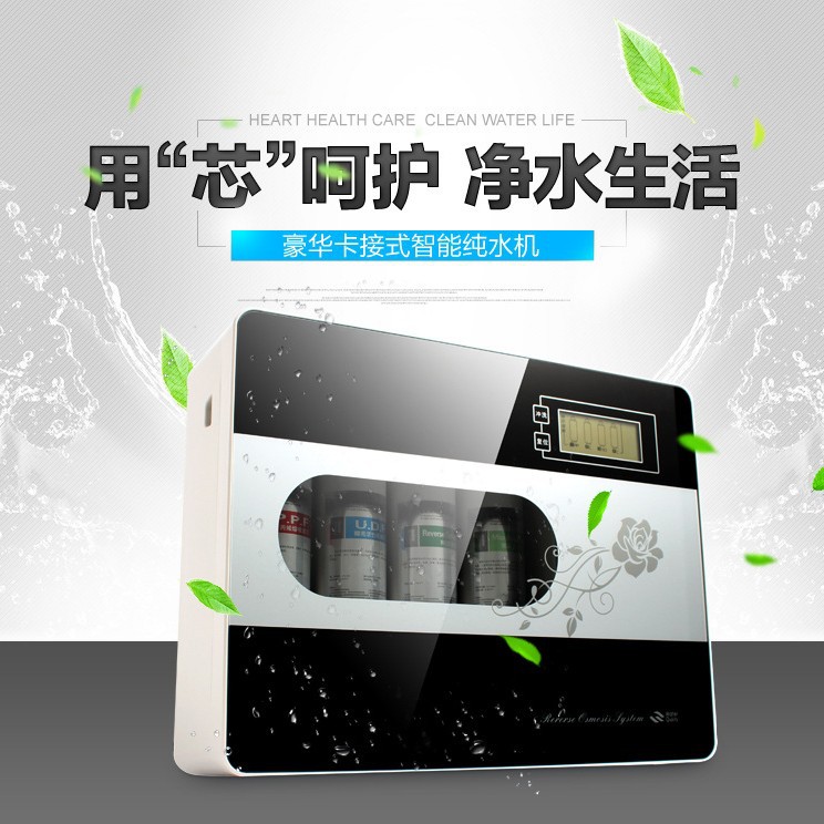 工厂批发净水器100g400g600g纯水机大流量反渗透家用卡接双水机