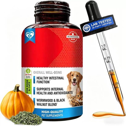 Cross-Border Amazon Pet Hot-Selling Yeast Supplement Nutritional Oral Liquid Drops for Cats and Dogs Cross-Border Amazon Pet Hot-Selling Yeast Supplement Nutritional Oral Liquid Drops for Cats and Dogs