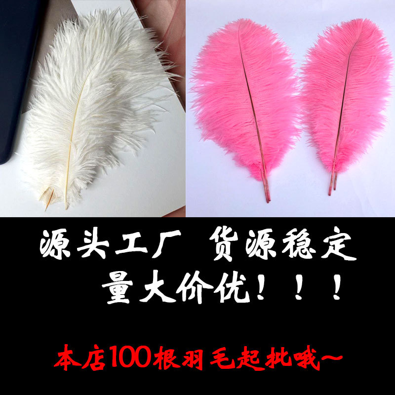 批发20-25cm婚庆布置网红拍照装饰羽毛墙鸵鸟毛羽毛抖音粉色白色