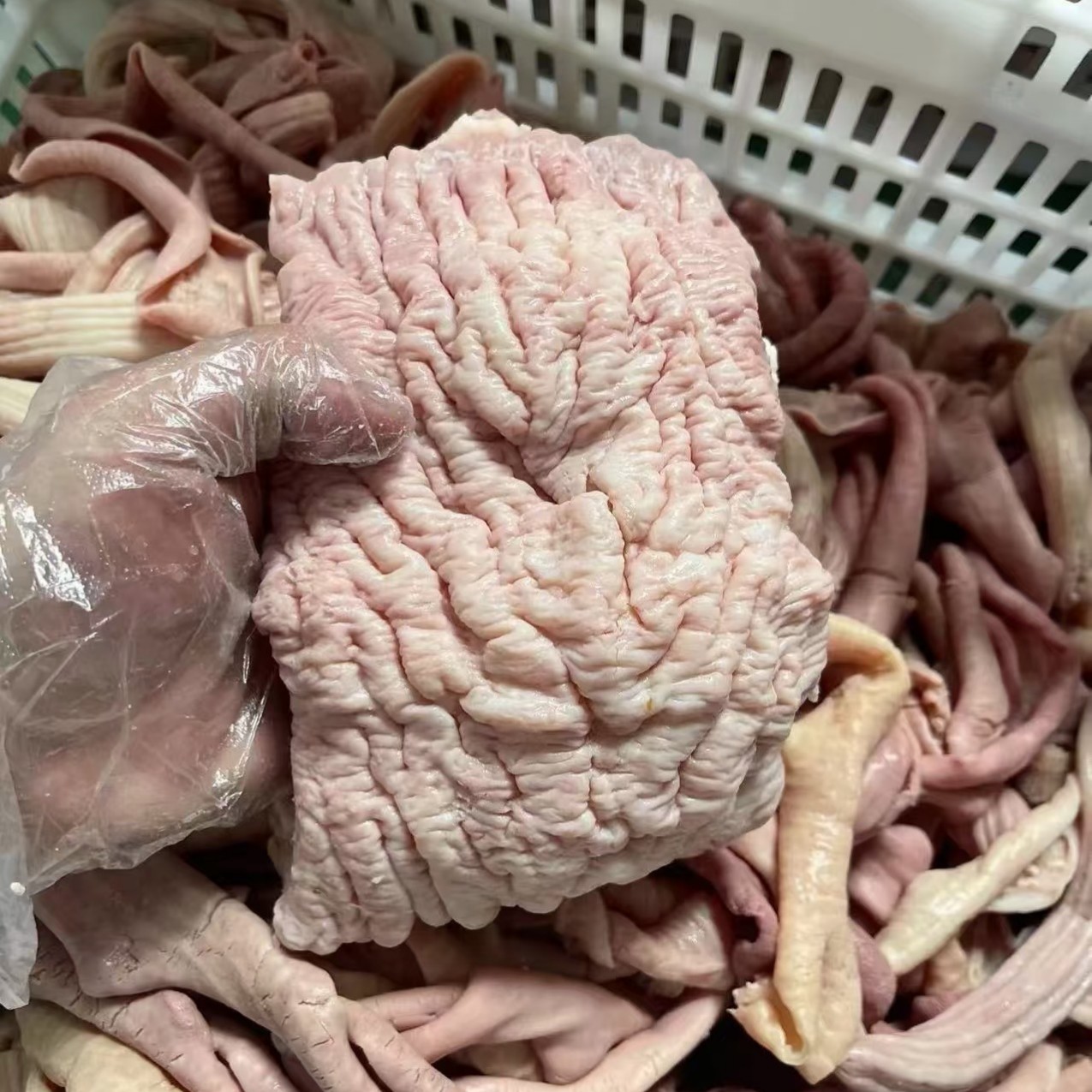 牛肠小肠大肠碗口伞带伞肚牛红肠牛大肚牛小肚牛杂店牛杂面商用