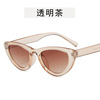 Brand fashionable sunglasses, trend glasses solar-powered, 2021 collection, cat's eye, European style, simple and elegant design