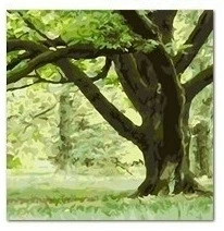 DIY/数字油画;油画;画夹画板