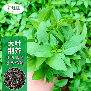 ��ζ���~�G��N�����쿹���ļ����K�N������ʳ�߮a�߲���֧�ִ��l