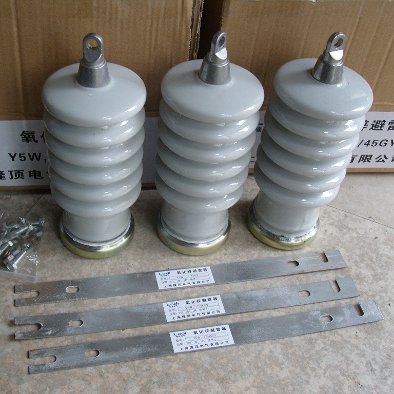 隆顶电气 陶瓷外套避雷器Y5W1 Y5W Y10W 陶瓷避雷器Y5C Y10C Y20C