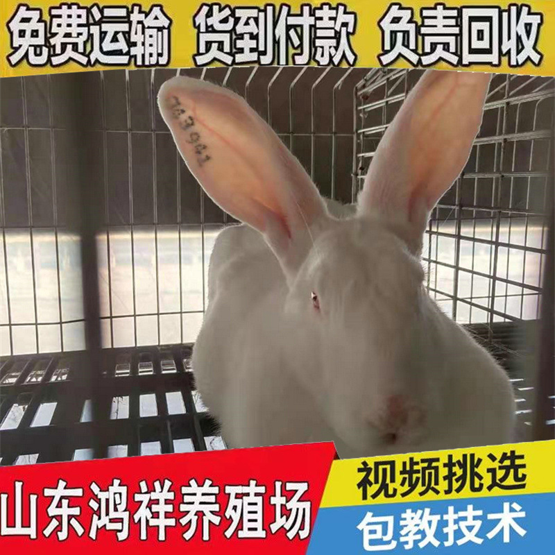 b_1260965202102221425414414.jp