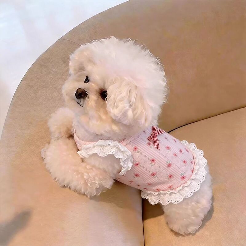 Pet Clothes Spring and Summer New Floral Lace Suspender Short Princess Dress Teddy Bichon Dog Cat Home Wear Pet Clothes Spring and Summer New Floral Lace Suspender Short Princess Dress Teddy Bichon Dog Cat Home Wear