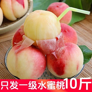 ���rˮ����10��Fժ�F�l�ЋDˮ����������Ѫ�ґ��Së�����������