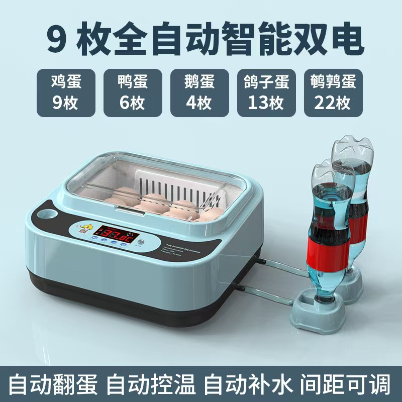 Incubadora de pollo de venta directa Incubadora doméstica pequeña Incubadora doméstica inteligente automática Caja de incubación de pollo