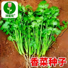 ˷NƷNͺ~С~˴ײ}ѷNļ߲˷Nݴȫ