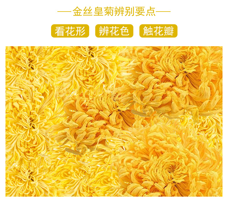 Golden Silk Imperial Chrysanthemum Tea (Chrysanthemum morifolium) — Premium Dried Flower Herbal Tea quality and texture