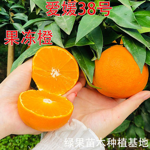 ����38̖�����ȸ��٘���28̖�t������������Ә���̽����ϱ����N