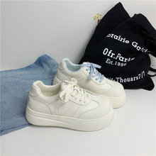 es׌WϵٴpСЬŮ2025¿߰ЬӴl