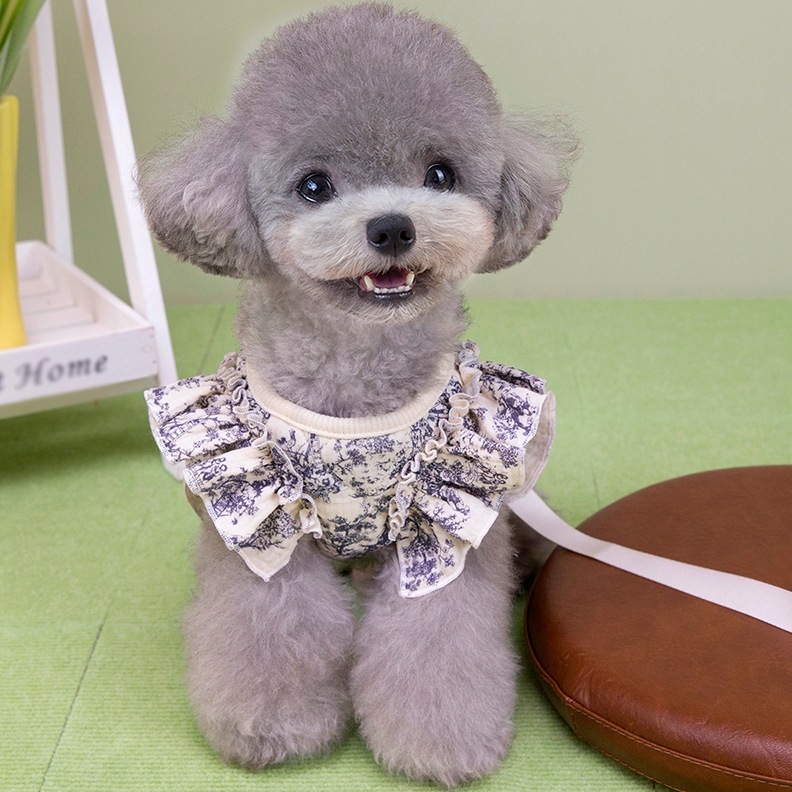 宠物服装小型犬狗衣服猫咪秋冬保暖舒适新款加厚棉纱胸背牵引套装|undefined