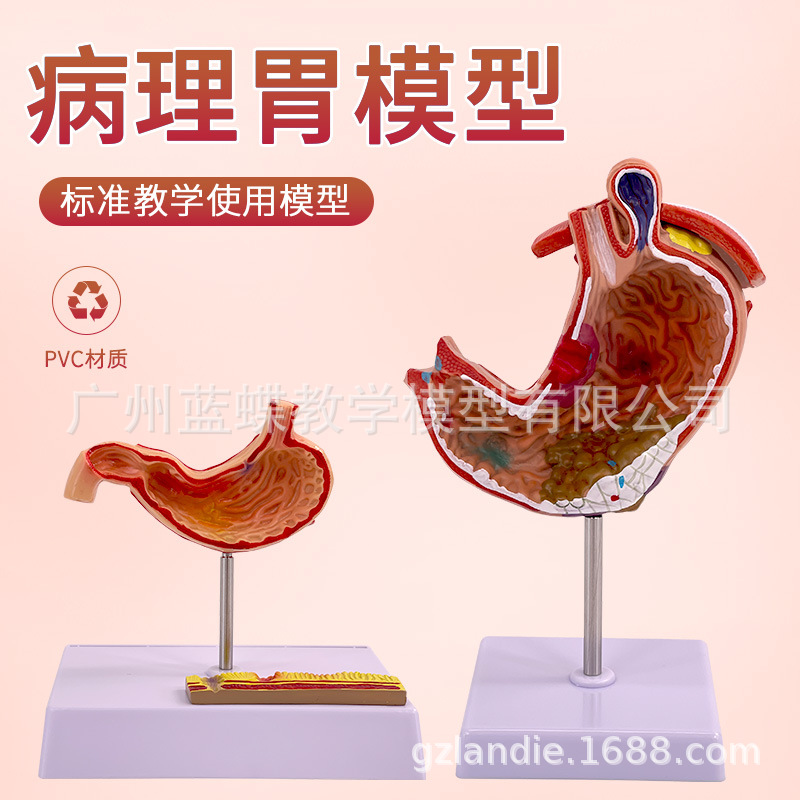 ����θģ�� ����θ�Ĵ��� ��̬θģ�� ������ θ��״������ʷŴ�