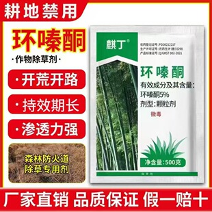 �趡�h�ͪ�w�����݄����s���s�ݷ������·�F·���ݜ�݄�