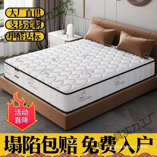 ϯ��˼���|������20CM����Ï������zҬ��ܛӲ���ý������W���ɟo